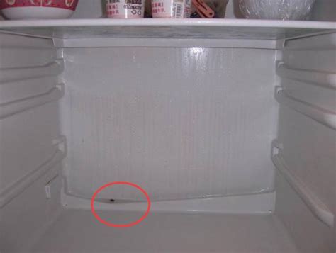 房門對冰箱 常景錄漏水